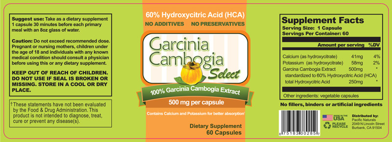 Garcinia Cambodia Select